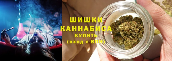 гидропоника Няндома