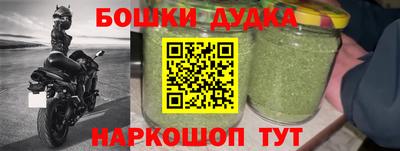 сатива Будённовск