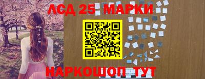 гидра Заводоуковск