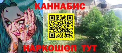 гидра Заводоуковск