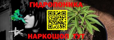 гашик Заволжье