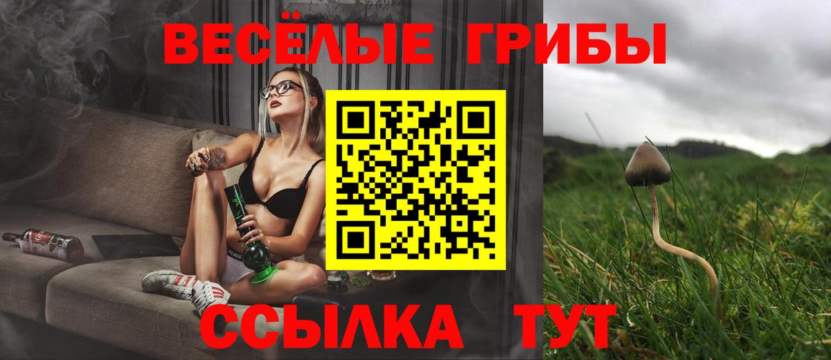 Псилоцибиновые грибы Psilocybe  Псилоцибиновые грибы GOLDEN TEACHER  Родники 