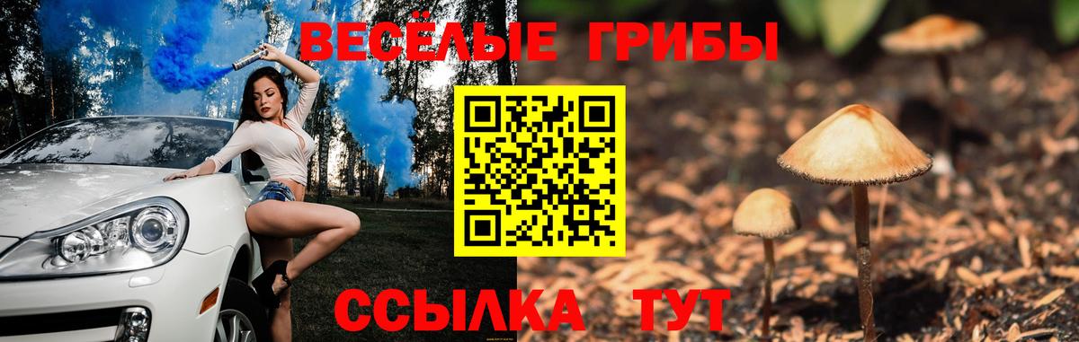 Альфа-ПВП  МАРИХУАНА  Мяу-Мяу  Molly  Герыч  LSD-25  Хэш  Вход с VPN  КОКАИН  Родники  Кокаин 