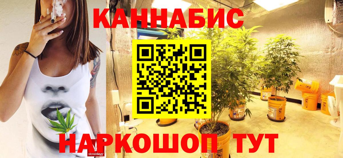 Бошки марихуана семена  Конопля Amnesia  Родники  МАРИХУАНА MAZAR 